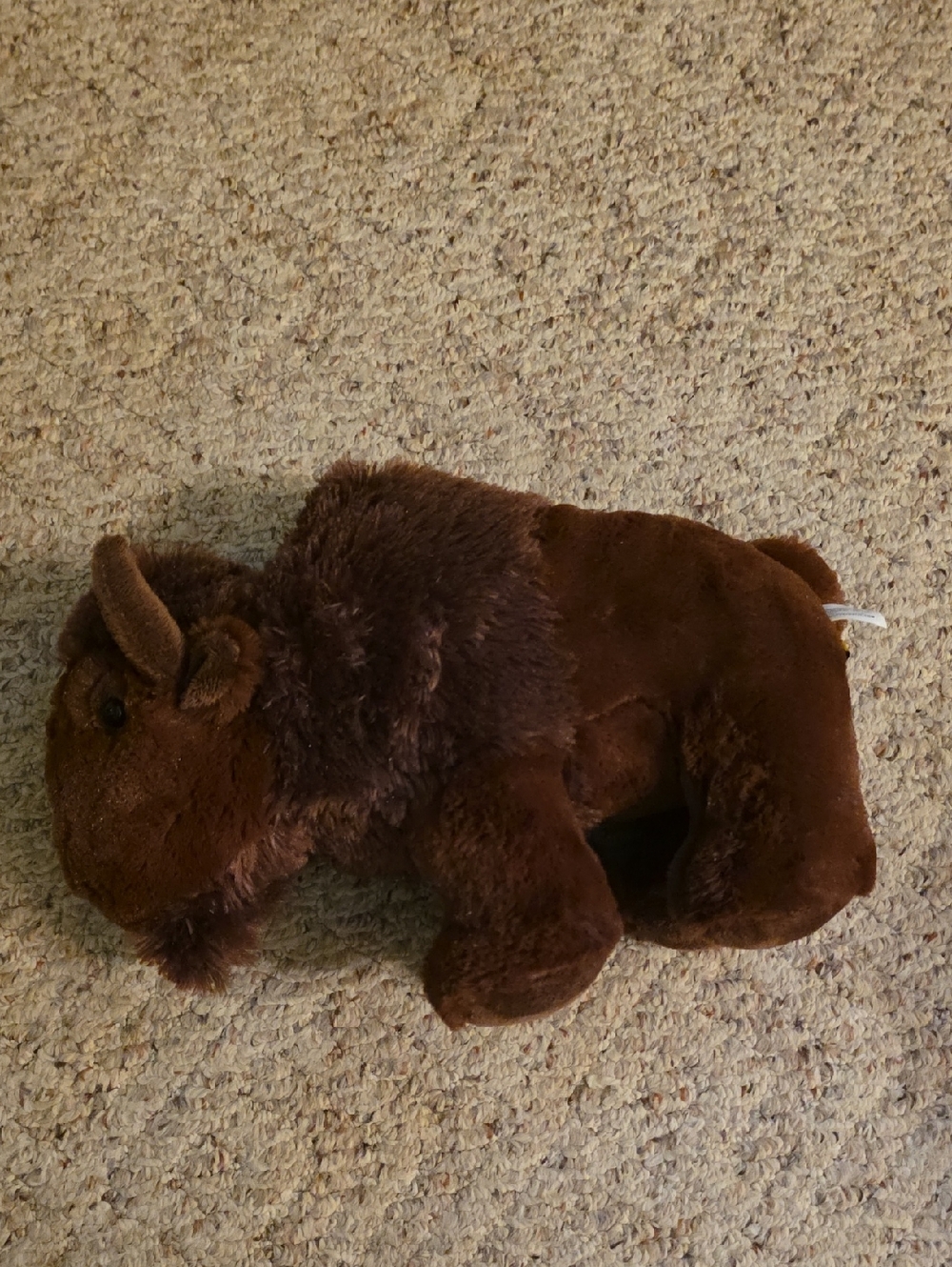 Plush Brown Buffalo Stuffed Animal